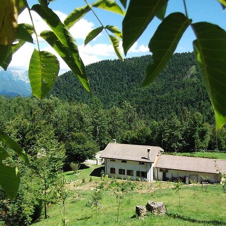 Bosco Delle Rune ..Un Angolo Di Paradiso Platischis Extérieur photo