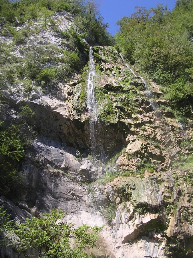 Bosco Delle Rune ..Un Angolo Di Paradiso Platischis Extérieur photo
