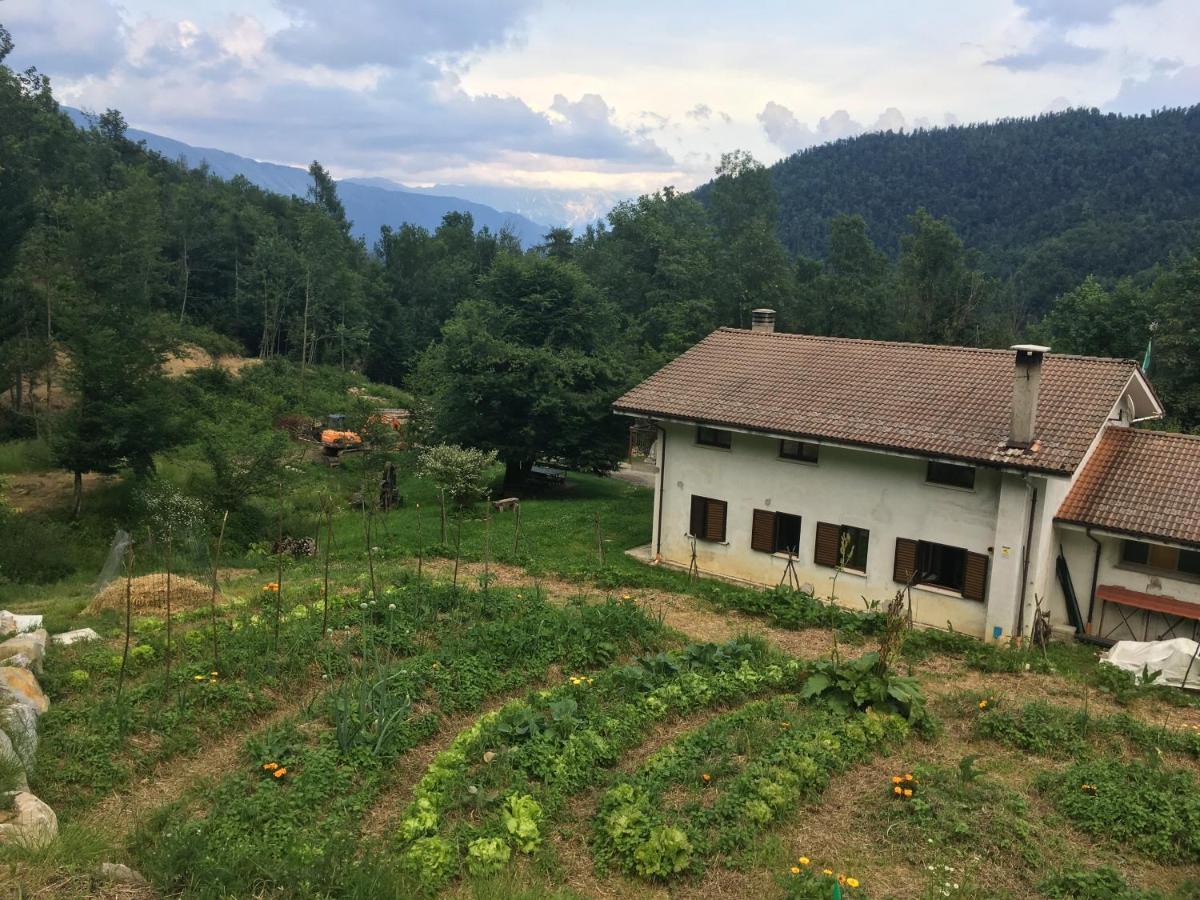 Bosco Delle Rune ..Un Angolo Di Paradiso Platischis Extérieur photo