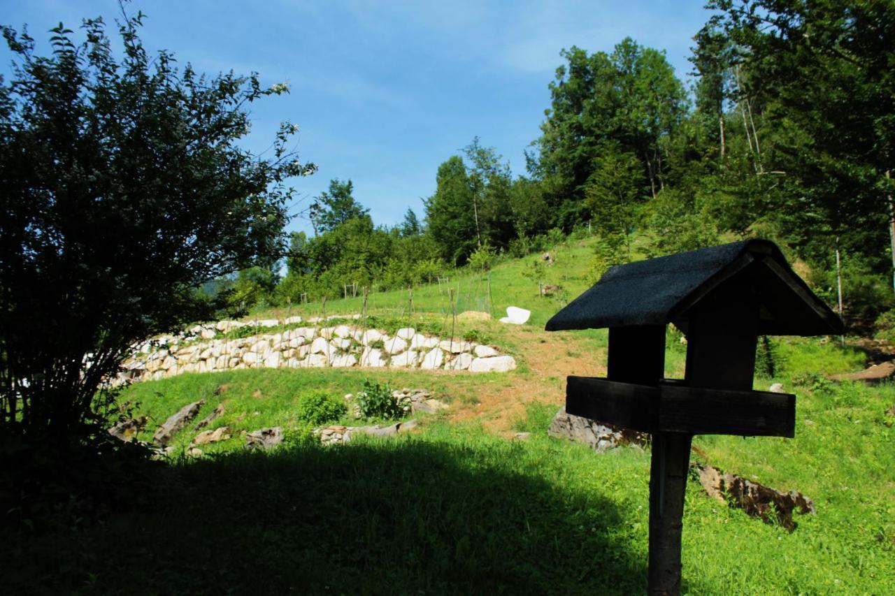 Bosco Delle Rune ..Un Angolo Di Paradiso Platischis Extérieur photo