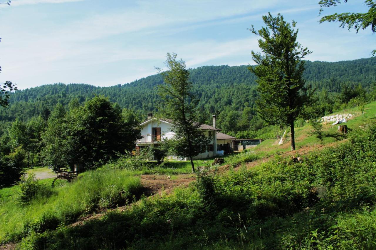 Bosco Delle Rune ..Un Angolo Di Paradiso Platischis Extérieur photo