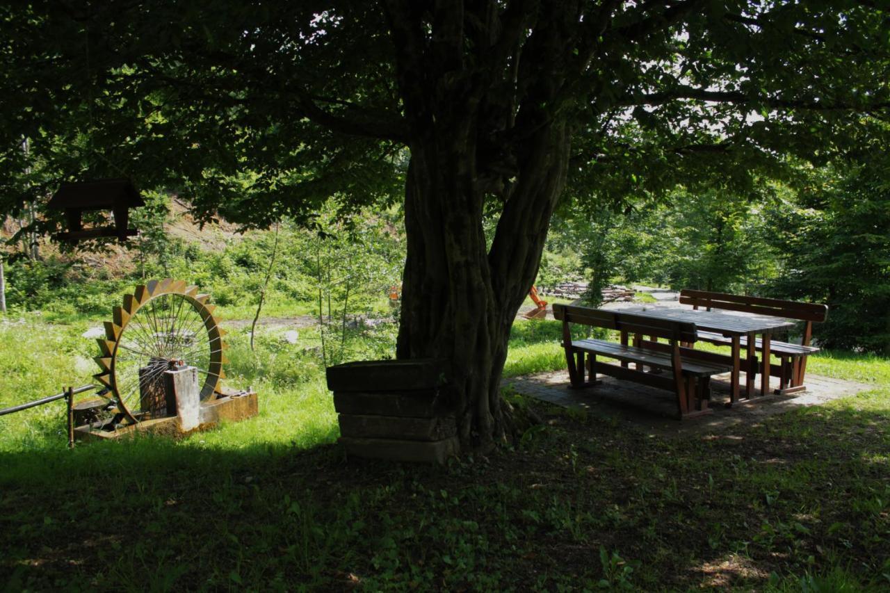 Bosco Delle Rune ..Un Angolo Di Paradiso Platischis Extérieur photo