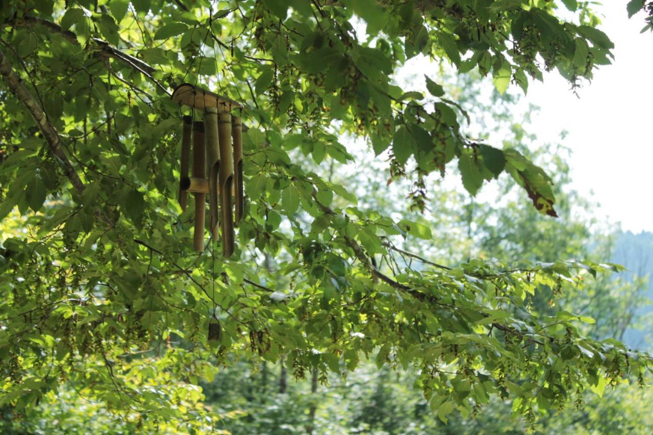 Bosco Delle Rune ..Un Angolo Di Paradiso Platischis Extérieur photo